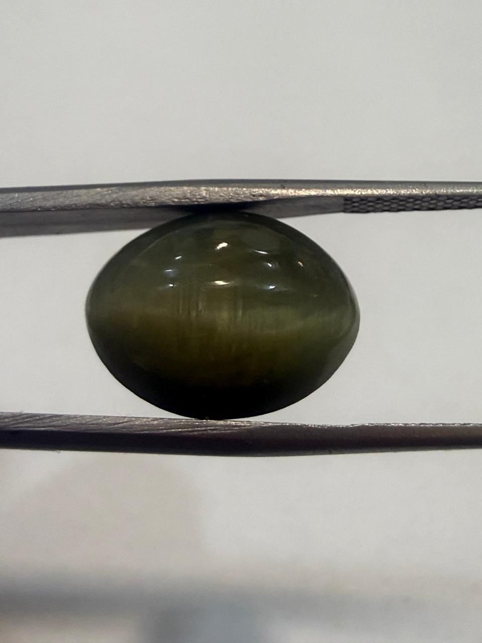 Natural Cat’s Eye Lahsuniya -8.48 Ratti– Oval Shape