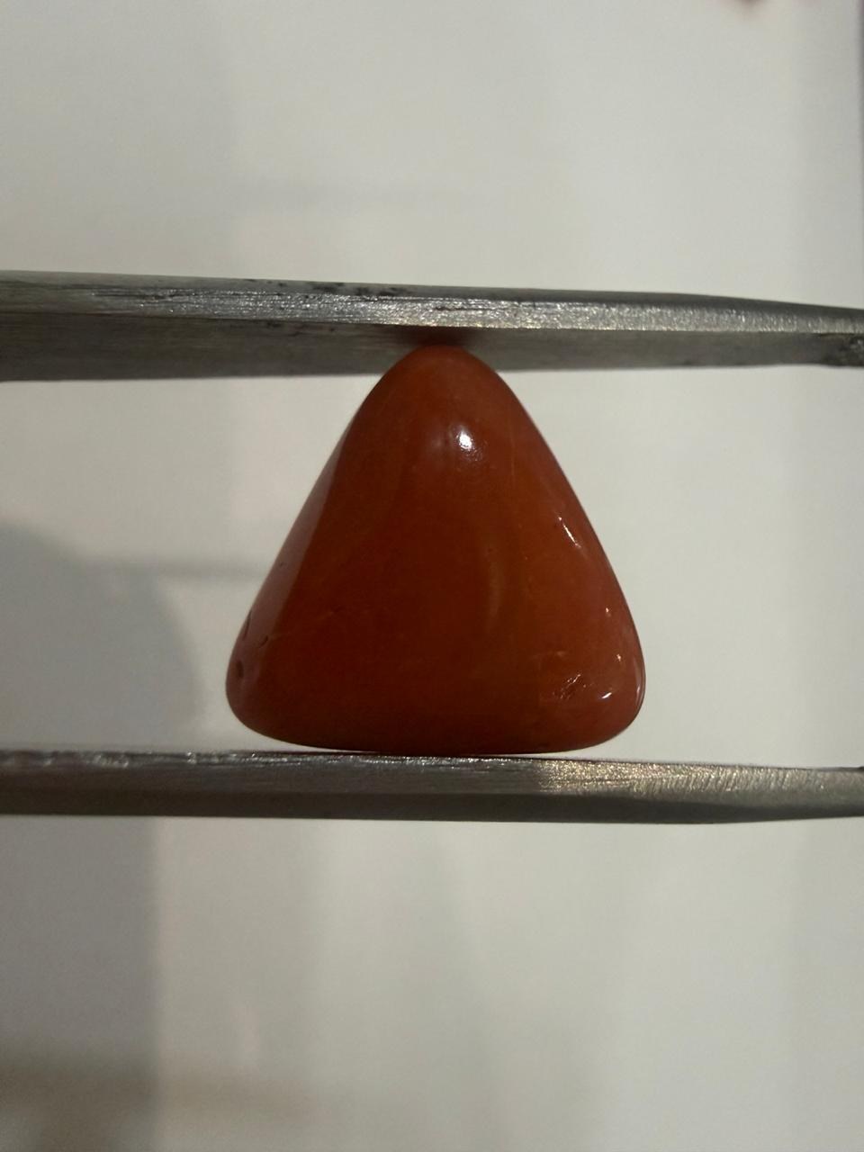 Natural Moonga (Red Coral) 7.46 Ratti