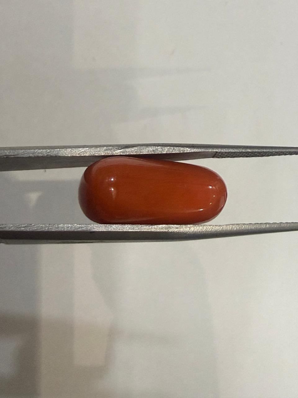 Natural Moonga (Red Coral) 11.89 Ratti