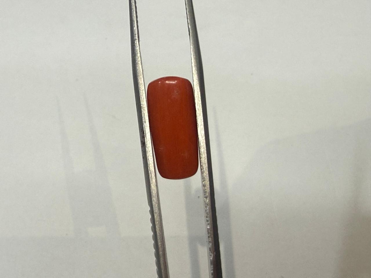 Natural Moonga (Red Coral) 7.52 Ratti