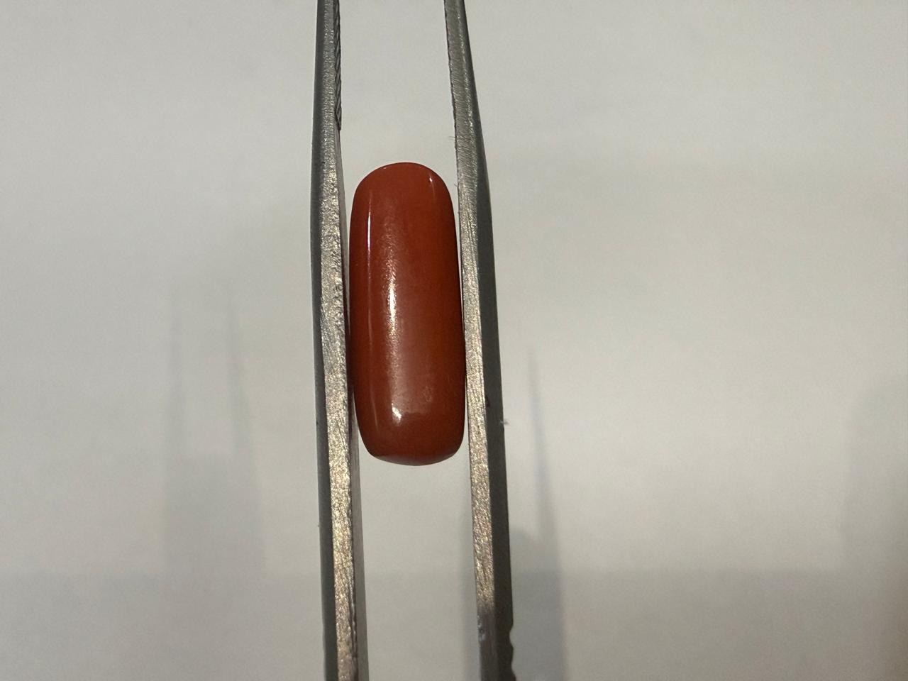 Natural Moonga (Red Coral) 4.44 Ratti