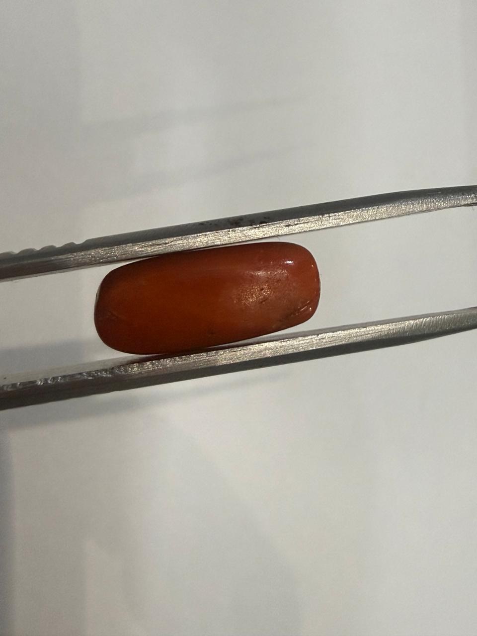 Natural Moonga (Red Coral)4.78 Ratti