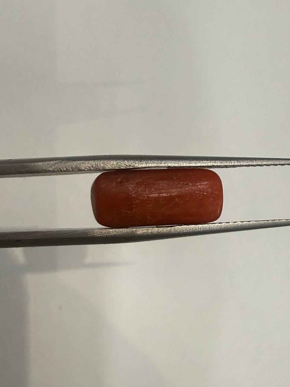 Natural Moonga (Red Coral) 5.05 Ratti